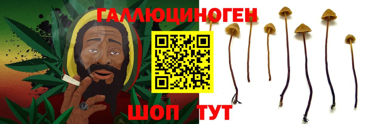 Кондопога  Галлюциногенные грибы ЛСД  Вход с VPN 